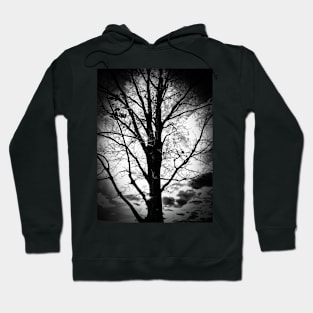 Tree Hoodie